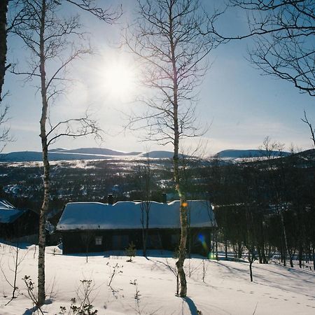 Villa Fjaellfrid Stugby à Bruksvallarna Extérieur photo